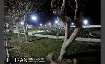 شهردار شب غلامحسین محمدی 59