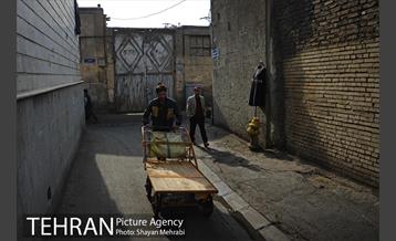 چرخ دستی های بازار 16