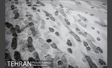 بارش نخستین برف پاییزی در تهران 19
