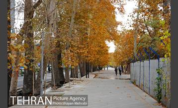 پاییز در بوستان ملت 1