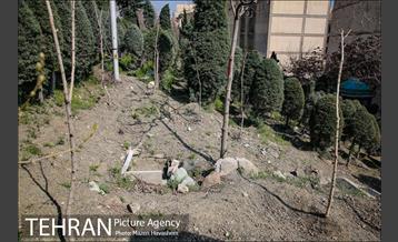 گورستان جوزدرختک(آجودانیه) 25