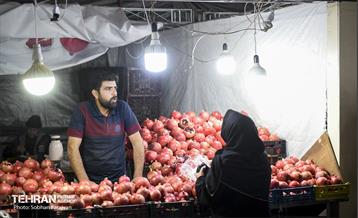 یازدهمین جشنواره صد دانه یاقوت 7