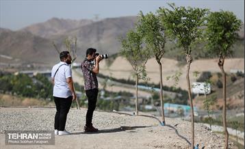 بازدید اصحاب رسانه از کمربند سبز 30