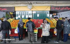 تره‌بار یلدایی 9