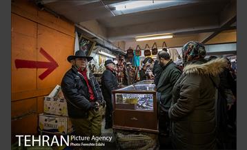 جمعه بازار پارکینگ پروانه 8