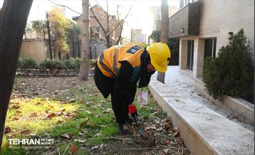 مسابقات تیم‌های عملیاتی دوام محلات شهر تهران 4