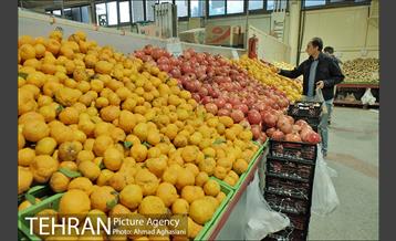 میدان میوه وتره بار شهید غیبی شهرری 21