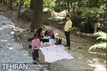 بوستان جمشیدیه‎ 14