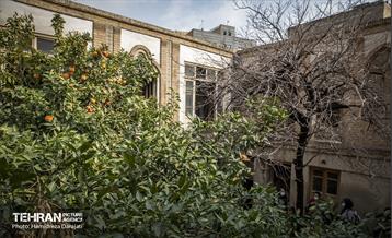 تاریخ رها شده؛ خانه پدری جلال آل احمد 17