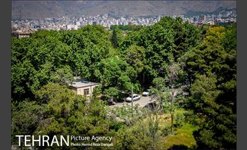 از پادگان 06 تا بوستان بزرگ ارتش 17