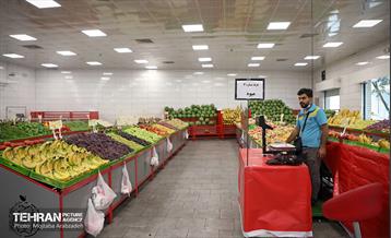 آیین افتتاح ۸ میدان میوه و تره بار سازمان میادین شهرداری 1