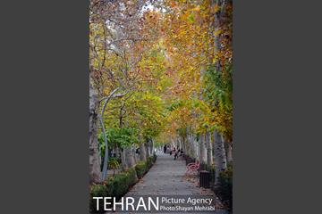 طبیعت پاییزی بوستان لاله 17