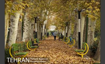 بوستان اندیشه(شهید منفرد نیاکی) 5