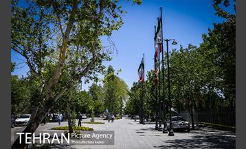 مراحل آماده سازی گذر پیاده راه استاد شهریار 14