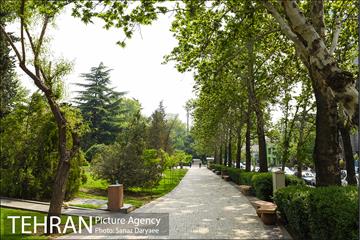 بوستان نیاوران 15