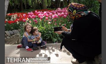 لاله های بهاری بوستان مختاری 22