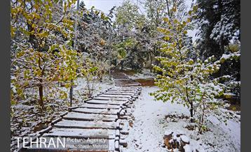 بارش برف پاییزی در بوستان طالقانی 18
