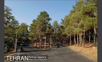 پارک جنگلی چیتگر 14