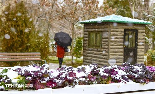 بارش برف زمستانی در منطقه 14