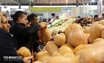 بازدید مدیرعامل سازمان تره‌وبار از میادین میوه 11