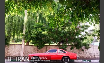 هوای بهاری تهران 22