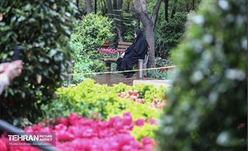 به وقت اردیبهشت؛ باغ ایرانی 26