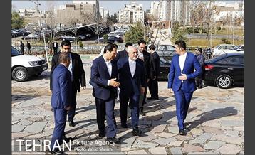 آیین کاشت درخت صلح و دوستی 6