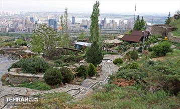 هوای بهاری منطقه 22 52