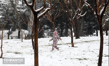 بارش برف در تهران 2