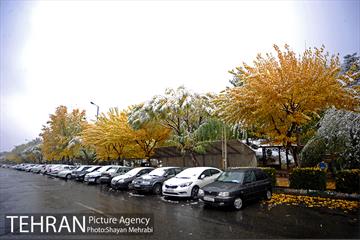 بارش برف پاییزی در بوستان طالقانی 2