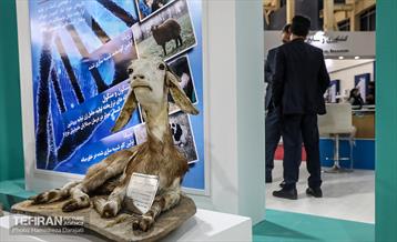 نمایشگاه بزرگ توانمندی ها جهاد دانشگاهی 20