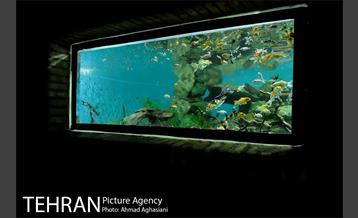 آکواریوم پارک شهر 15