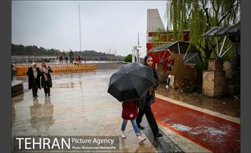 بارش باران بهاری در تهران 36