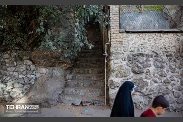 شهرنگار؛ درکه 40
