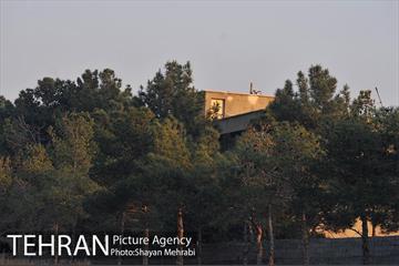 فراموش شدگان اداره منابع طبیعی در بوستان چیتگر 25