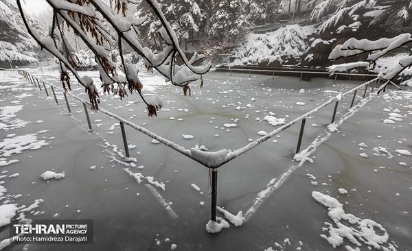 روایت مه‌و‌برف در بوستان سنگی تهران  18