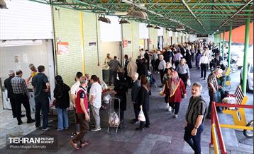 تور بازدید از میادین و بازارهای میوه و تره‌بار شهرداری تهران 16