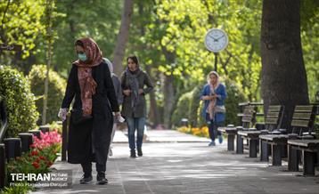 لاله های باغ ایرانی 20