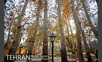 پاییز باغ ایرانی 37