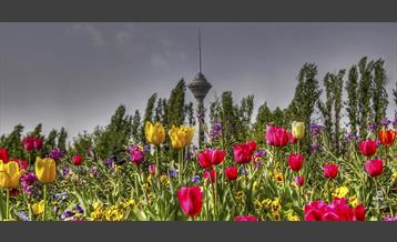 امروز طهران 3