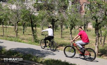 بازدید دانشجویان خارجی دانشگاه‌های پایتخت از جاذبه‌های گردشگری منطقه۲۲ 1