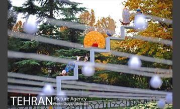 پاییز در بوستان ملت 4