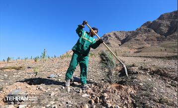 احداث فاز یک کمربند سبز شهر تهران 21