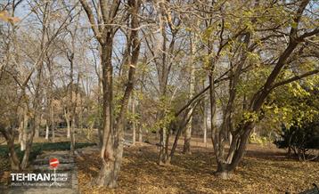 بازدید گروه های دوام مناطق از باغ گیاه شناسی ملی 12