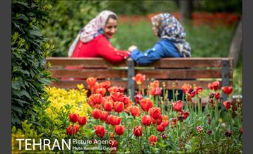 لاله های باغ ایرانی 12