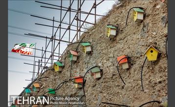 بوستان نهج البلاغه 9