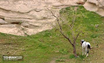 هوای بهاری منطقه 22 28