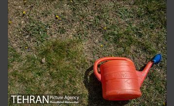 ۱۰۰ نهال به نام ۱۰۰ زن نامدار قرن 7