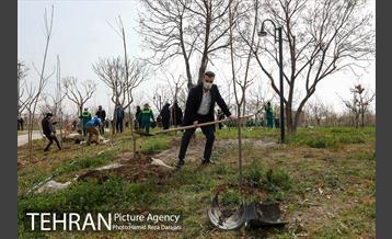 آیین درختکارى خبرنگاران در بوستان زندگى 15
