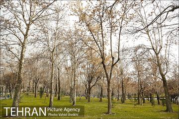 پارک ملت در یک روز زمستانی 27